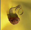 Teddy Bear Purse  (Brown)